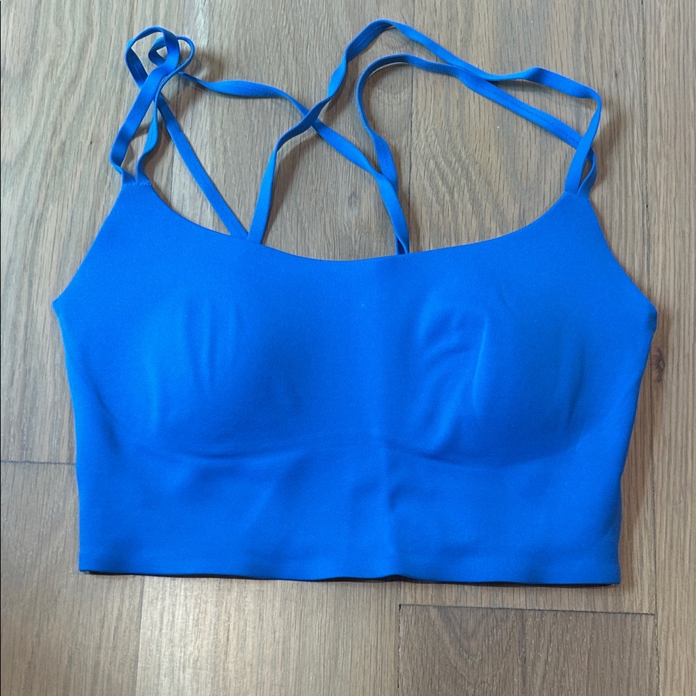 Aerie Blue Strappy Bra